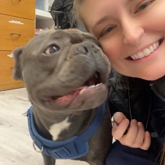 Smiling veterinary staff member taking a selfie with a happy gray pit bull puppy in Bluffton