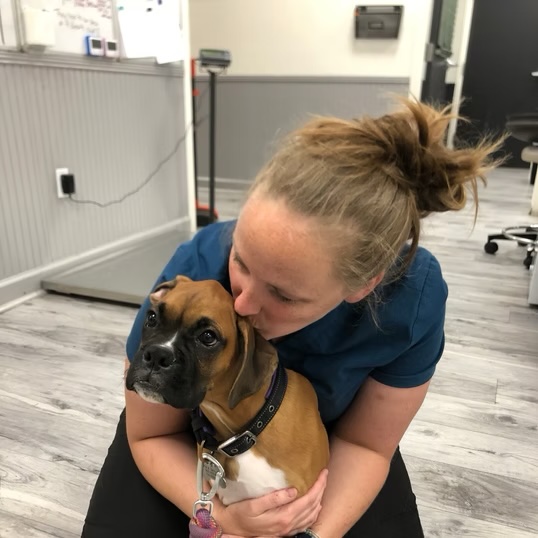 Veterinary technician hugging and kissing a boxer dog, showing compassionate patient care in Bluffton